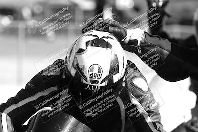 media/Feb-23-2025-2WTD (Sun) [[9604a77d5d]]/1-Around the Pits/